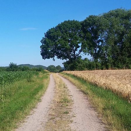 Landgasthof Zur Untermuehle Datterode Esterno foto