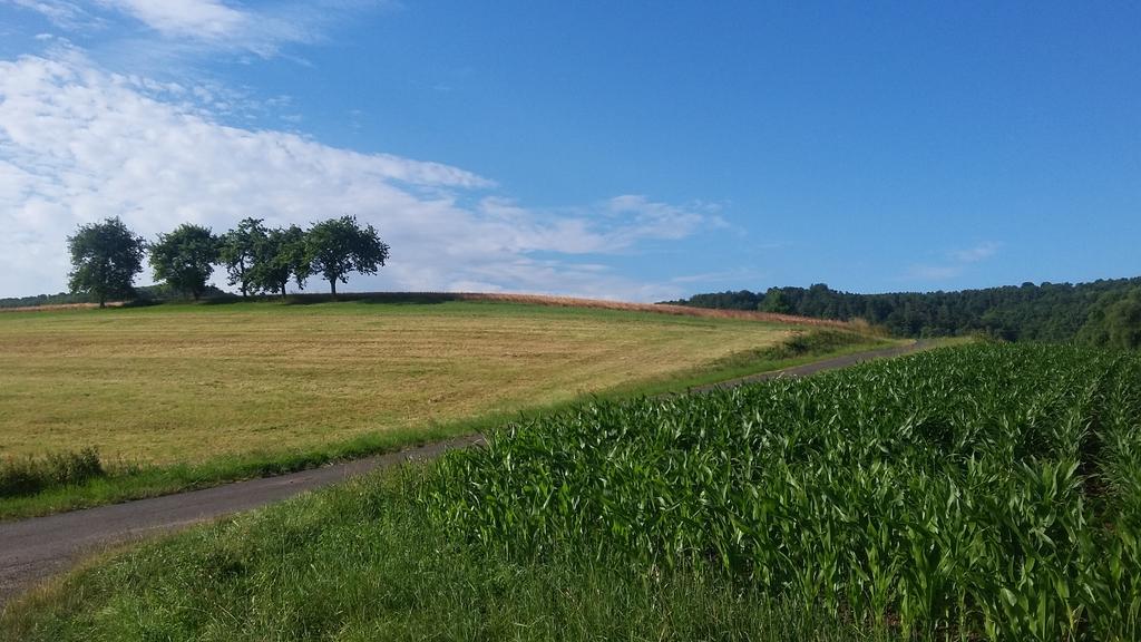 Landgasthof Zur Untermuehle Datterode Esterno foto