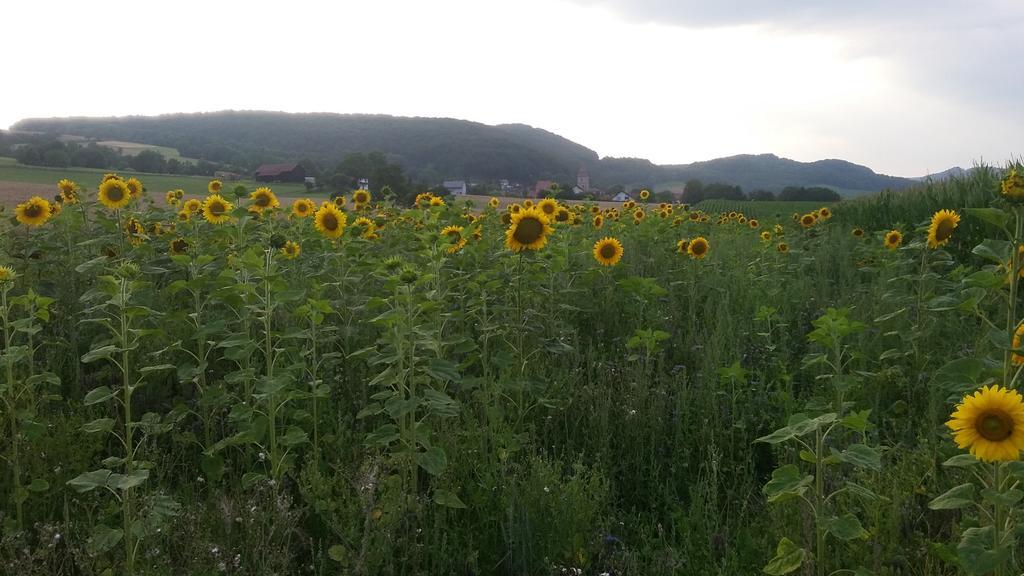 Landgasthof Zur Untermuehle Datterode Esterno foto