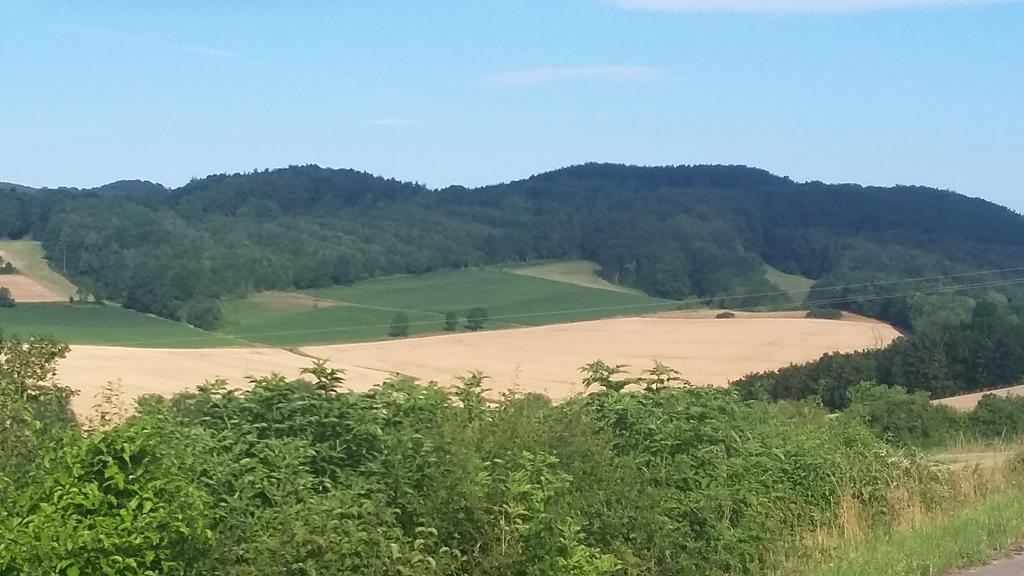 Landgasthof Zur Untermuehle Datterode Esterno foto