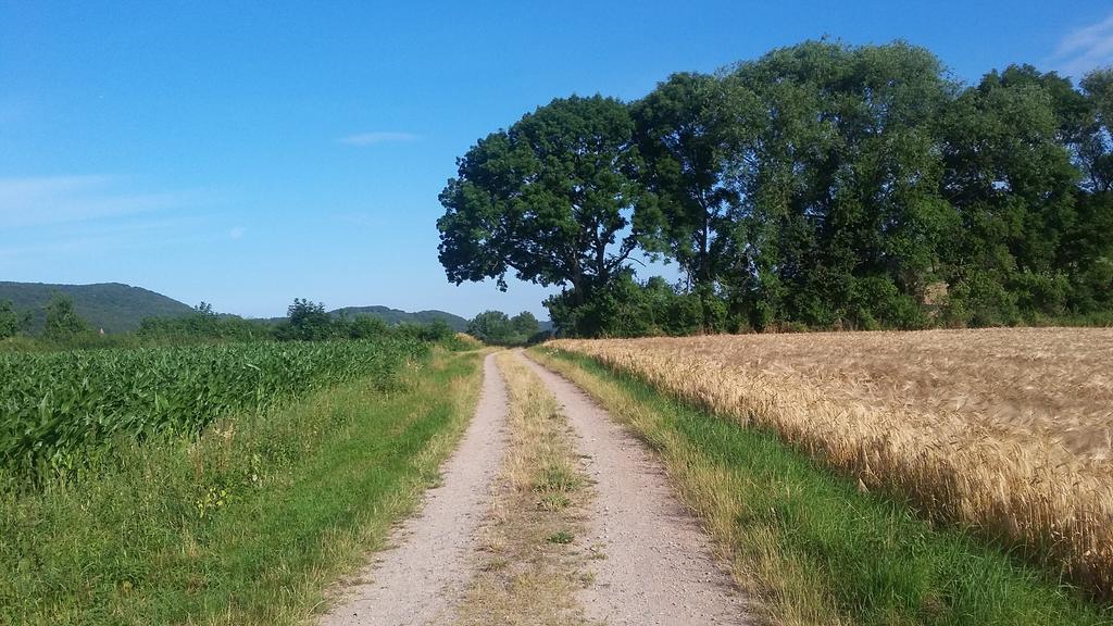 Landgasthof Zur Untermuehle Datterode Esterno foto